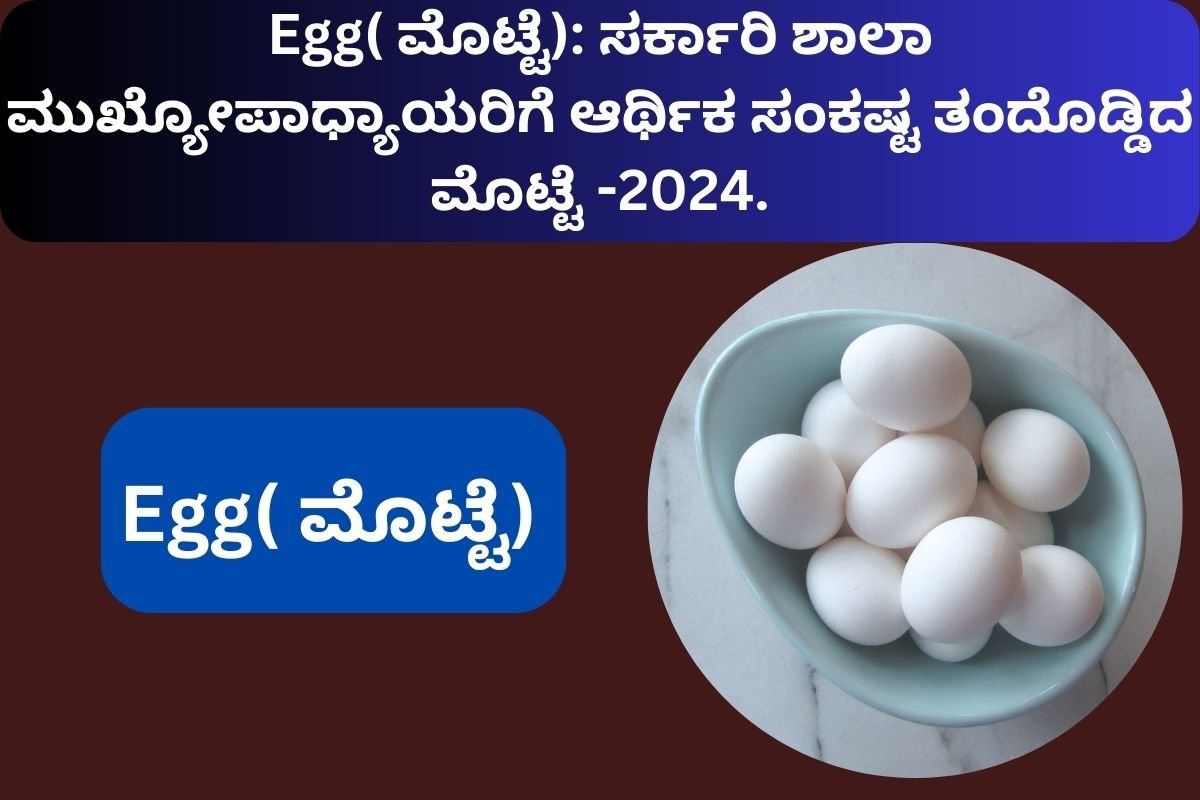 Egg( ಮೊಟ್ಟೆ)