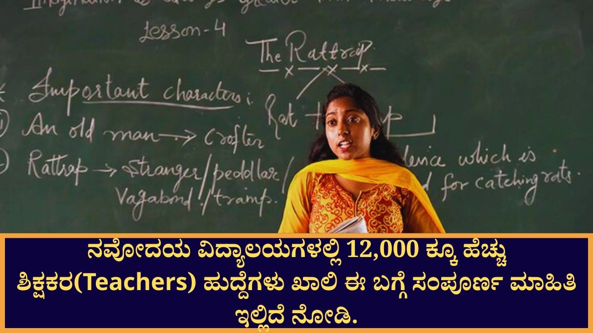 Teachers