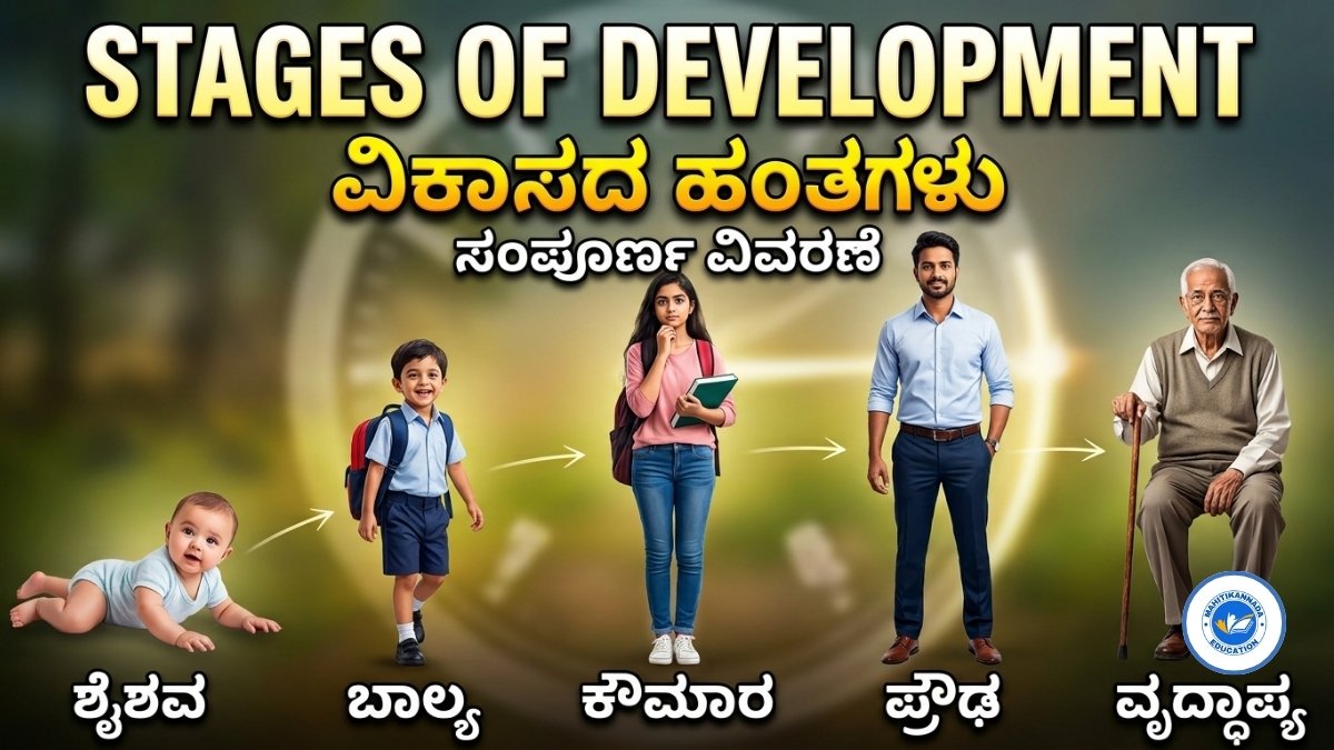 STAGES OF DEVELOPMENT