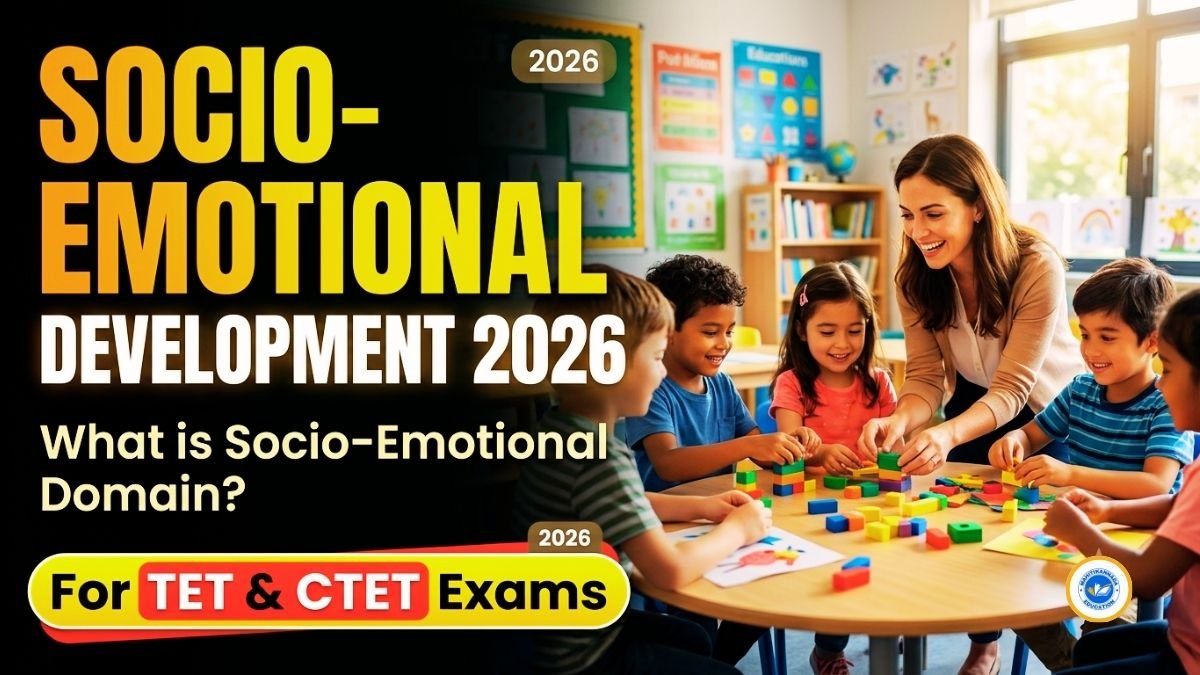 Socio-Emotional Domain Development 2026